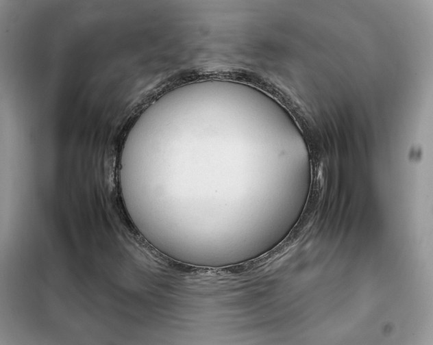 X0000102391348200808011550