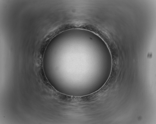 X0000102391349200808011550