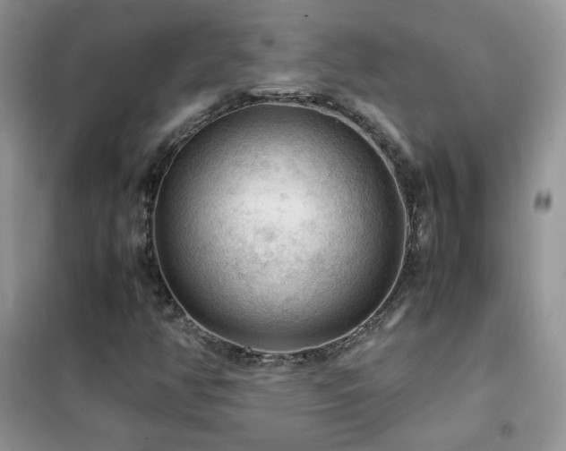 X0000102391350200808011550