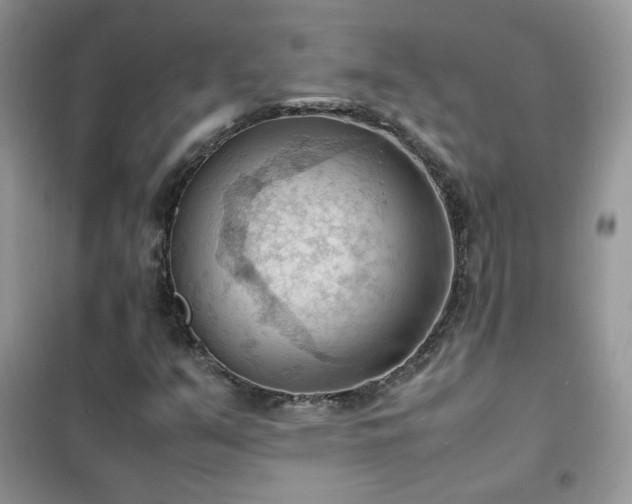 X0000102391351200808011550