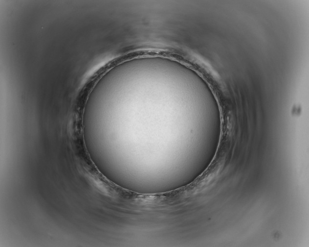 X0000102391352200808011550