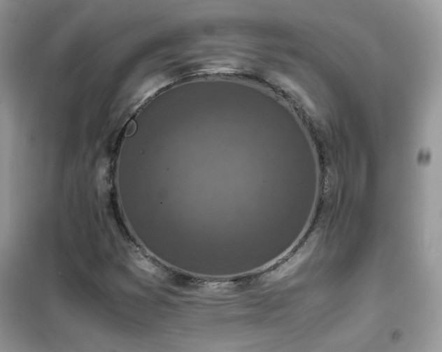 X0000102391353200808011550