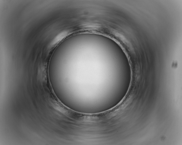 X0000102391354200808011550