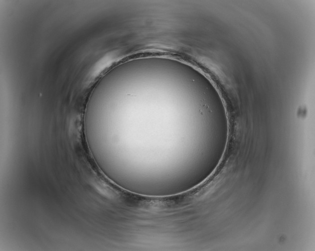 X0000102391355200808011550