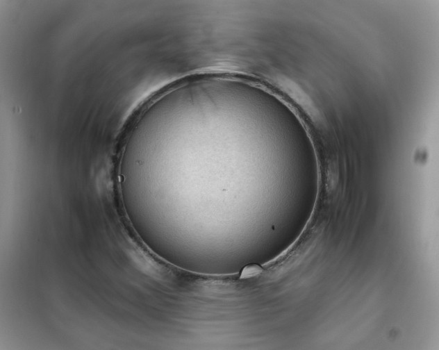 X0000102391356200808011550