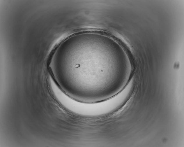 X0000102391357200808011550