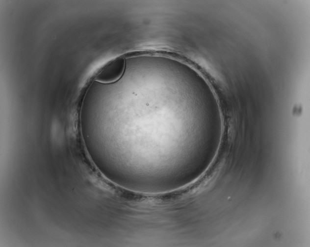 X0000102391358200808011550