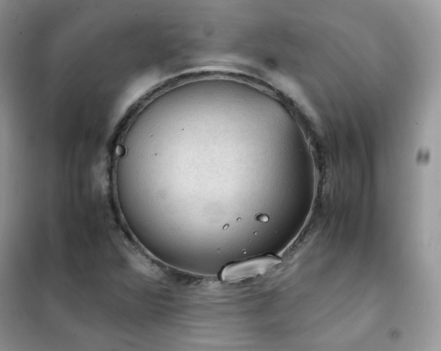 X0000102391360200808011550