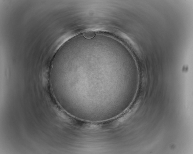 X0000102391361200808011550