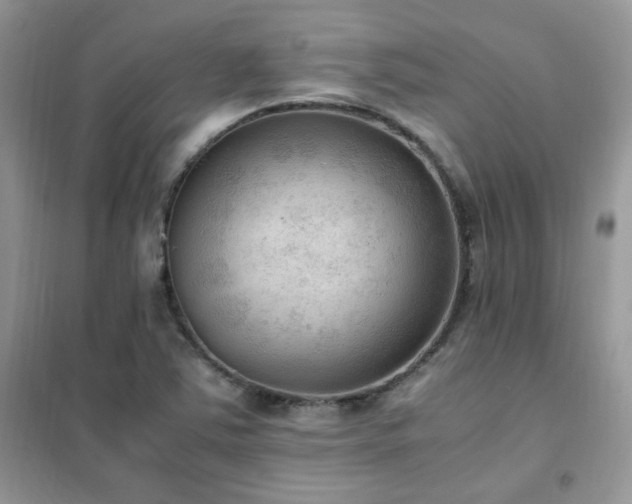 X0000102391363200808011550