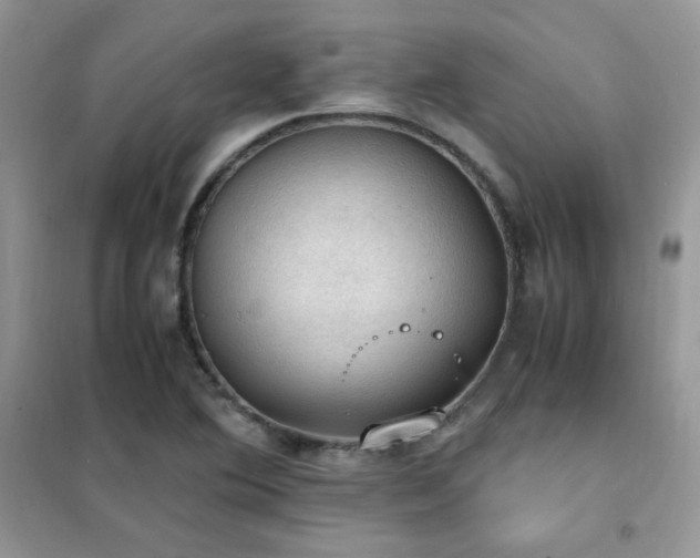 X0000102391364200808011550