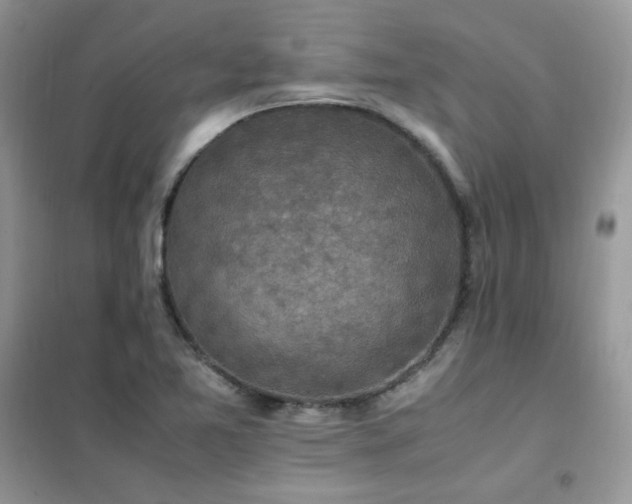 X0000102391365200808011550