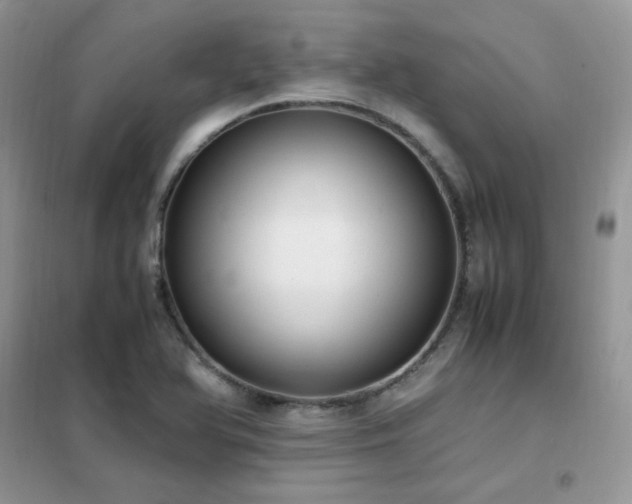 X0000102391366200808011550