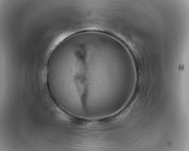 X0000102391367200808011550