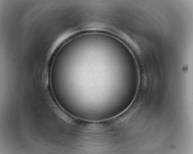 X0000102391368200808011550