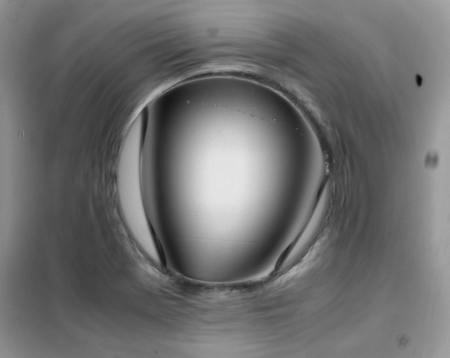 X0000102391369200808011550