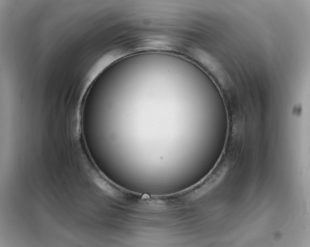 X0000102391370200808011550