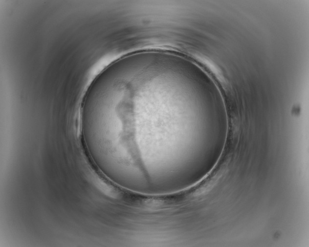 X0000102391371200808011550