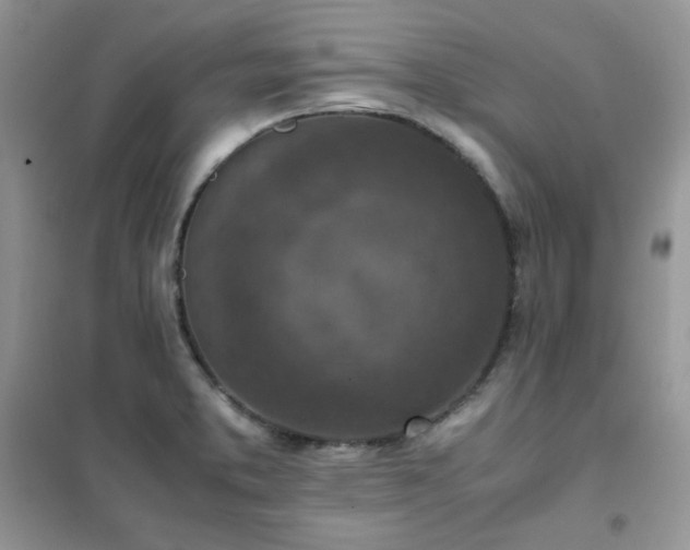 X0000102391373200808011550