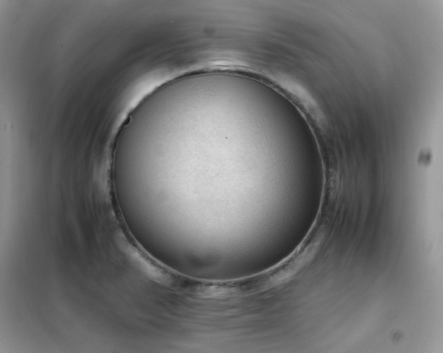 X0000102391374200808011550