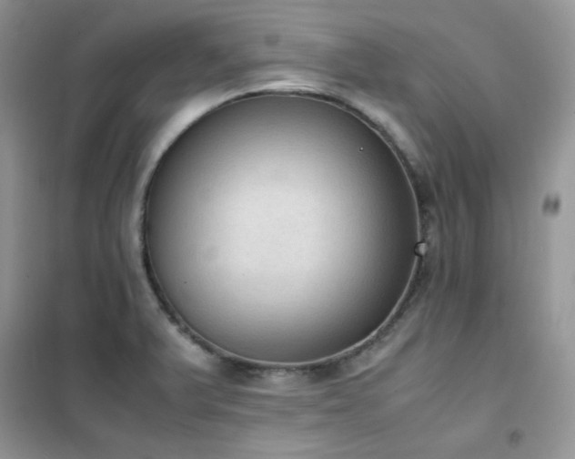 X0000102391375200808011550