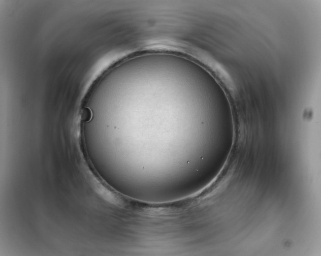 X0000102391376200808011550