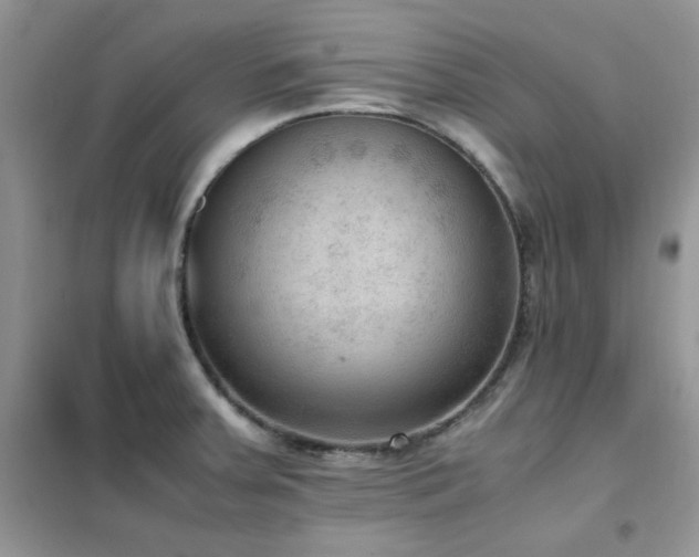 X0000102391379200808011550