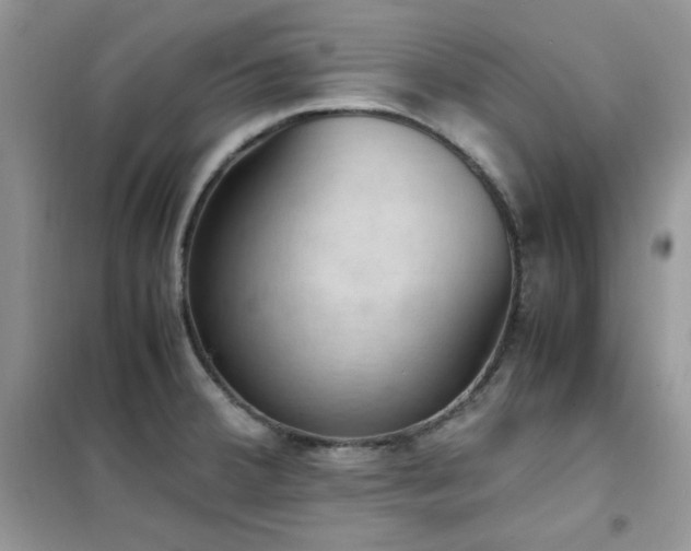 X0000102391380200808011550