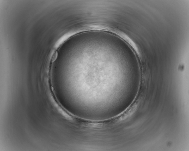 X0000102391381200808011550