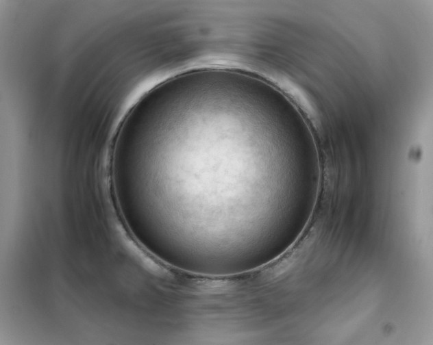 X0000102391382200808011550