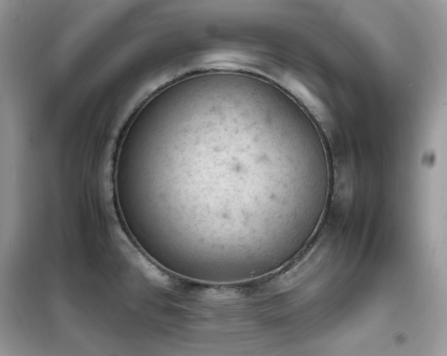 X0000102391384200808011550