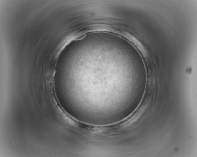 X0000102391385200808011550