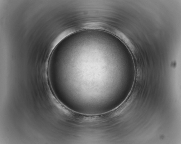 X0000102391386200808011550