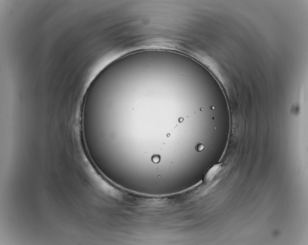 X0000102391387200808011550