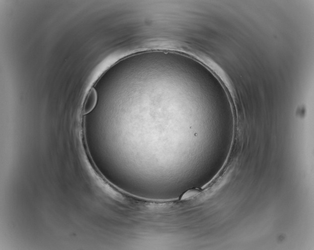 X0000102391389200808011550