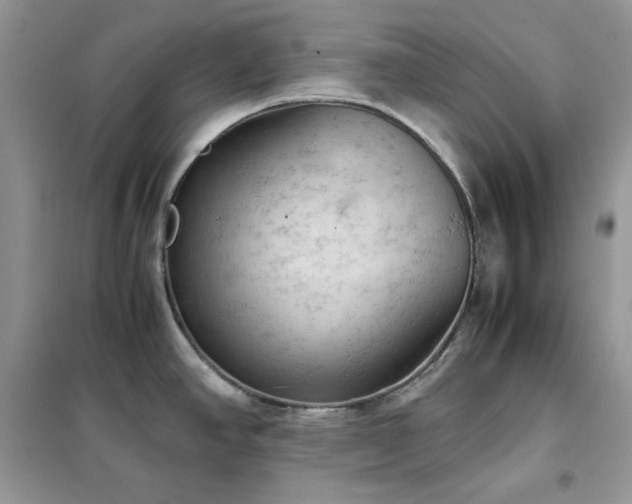 X0000102391390200808011550