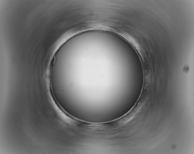 X0000102391391200808011550