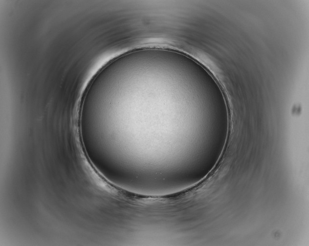 X0000102391392200808011550