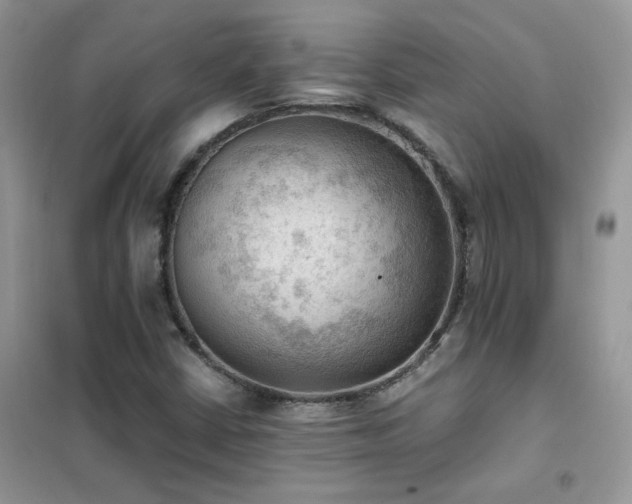 X0000102391402200808011549