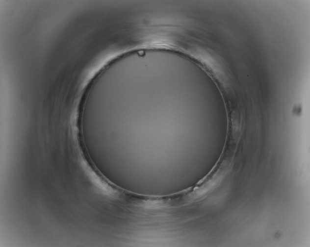 X0000102391422200808011549