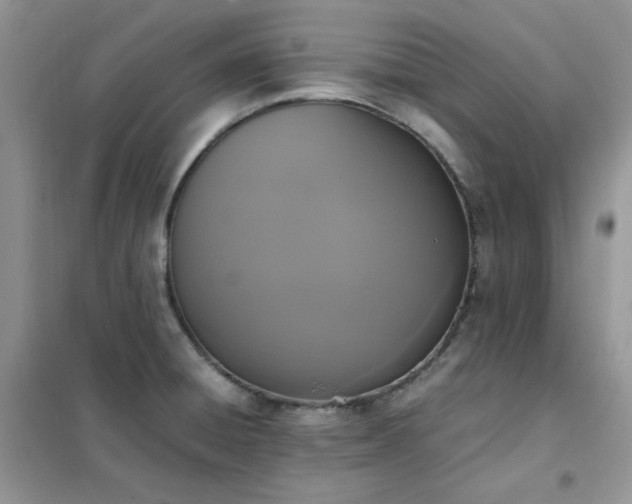 X0000102391428200808011550