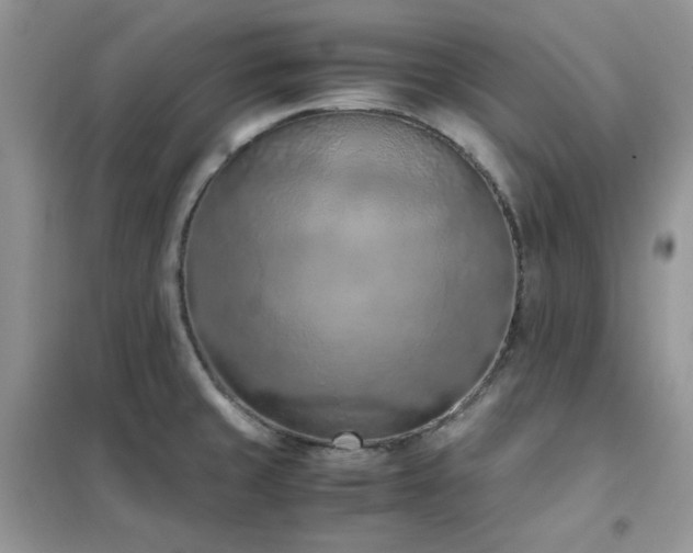 X0000102391429200808011550