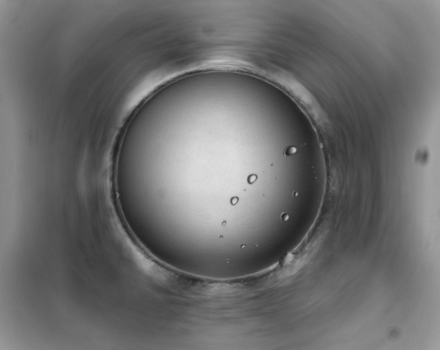 X0000102391430200808011550