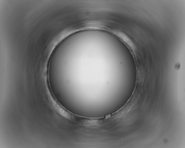 X0000102391431200808011550