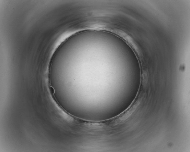 X0000102391432200808011550