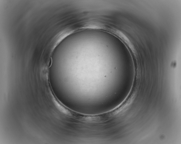 X0000102391433200808011550