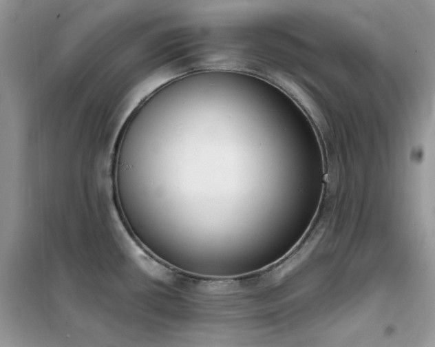 X0000102391434200808011550