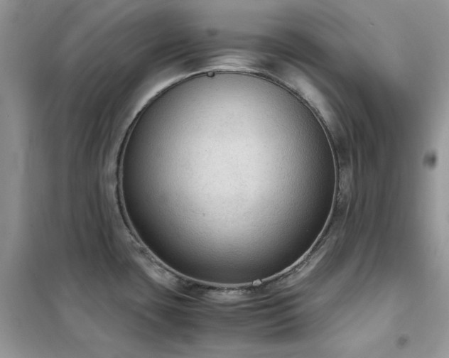 X0000102391435200808011550