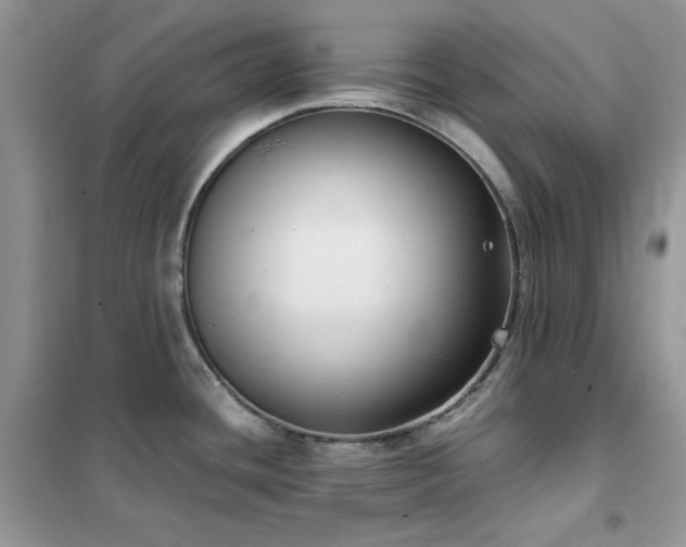 X0000102391436200808011550