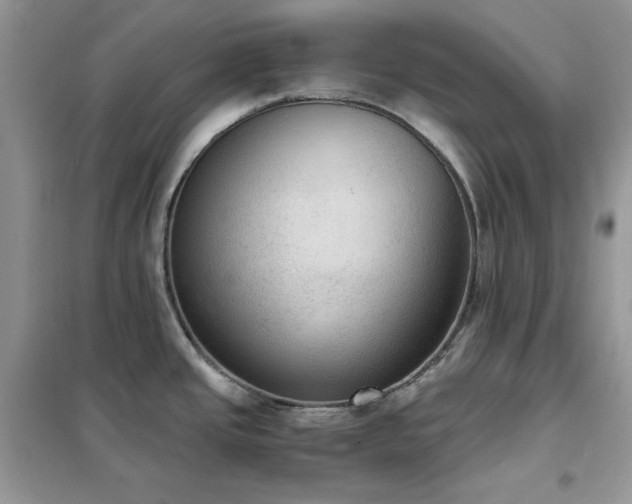 X0000102391437200808011550